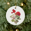 Search for geranium christmas tree decorations Flower