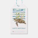 Search for happy turtle Beach