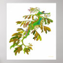 Search for leafies posters Seahorse