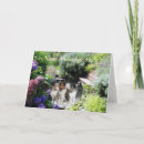 Search for sheltie cards Sheepdogs