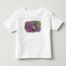 Search for ruby throated tshirts Animal