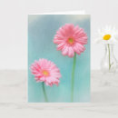 Search for gerber cards Gerbera