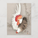 Search for fowl postcards Feathers