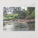 Search for tidal postcards Nature