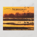 Search for sandhill postcards Nature