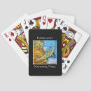 Search for predator playing cards Crocodile