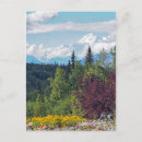 Search for denali alaska postcards Landscape