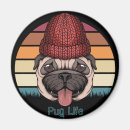 Search for mopping magnets Puppy