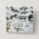 Search for carnivore badges Skull