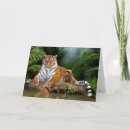 Search for tiger eyes postcards Jungle