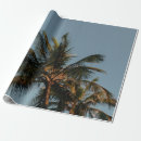 Search for coconut wrapping paper Tropical