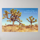 Search for this plants trees posters Landscape