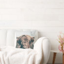 Search for highland cow cushions Scotland