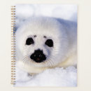 Search for seal planners Cute