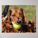 Search for dog nose art Puppy