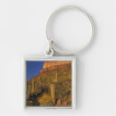 Search for thorn key rings Cacti