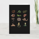 Search for species cards Animal