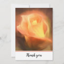 Search for sentimental photography Floral