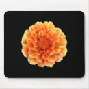 Search for eventing picture mouse mats New yearâ