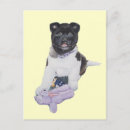 Search for akitas postcards Puppies