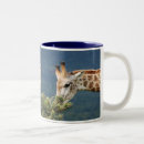 Search for giraffe photo mugs Zoo