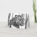 Search for cheetah with cards Watercolor