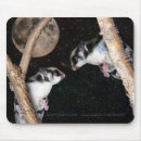 Search for sugar glider mouse mats Gliders