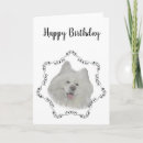 Search for samoyed dog cards Husky