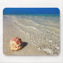 Search for shells on mouse mats Nautical