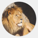 Search for lion picture stickers Animal