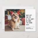 Search for white dog christmas cards Cute