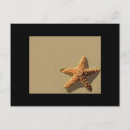 Search for estrellas Amor