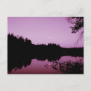 Search for goose postcards Scenic