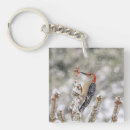 Search for red bellied key rings Nature