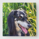 Search for saluki art Cute