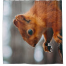 Search for squirrel shower curtains Tree