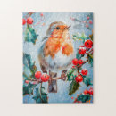 Search for robin puzzles Erithacus rubecula