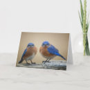 Search for frowning cards Grumpy