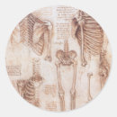 Search for human bone stickers Medical