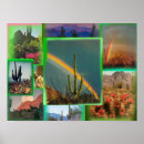 Search for vintage cactus art Wall