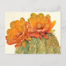 Search for desert flowers postcards Foliage