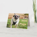 Search for love pug cards Dog