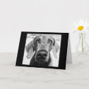 Search for retired dog cards Retiring