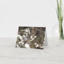 Search for blossom blank cards Flowers