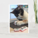 Search for joker cards Mahjong