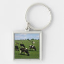Search for holstein key rings Animal