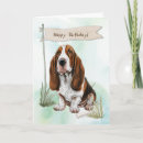 Search for hound Happy birthday