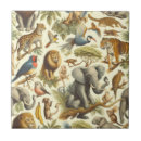 Search for jungle tiles Wildlife
