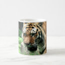 Search for tiger stripes mugs Zoo