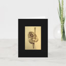 Search for furry cards Wildlife